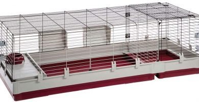 jaula grande para roedores