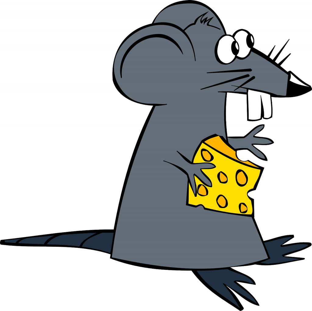 imágenes de ratas en caricatura