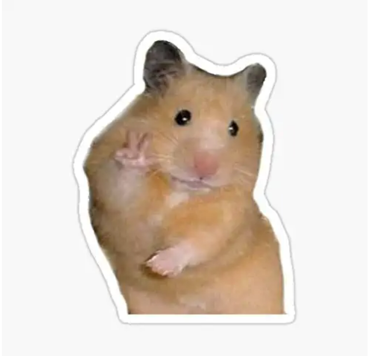 foto hamster meme