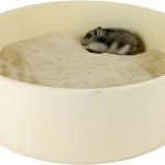 baño de arena para roedores
