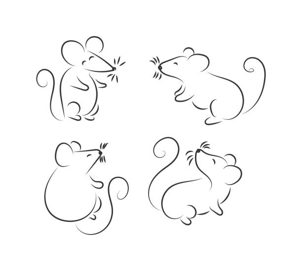 ratón dibujo